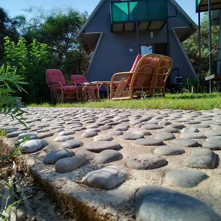 Sonbahar